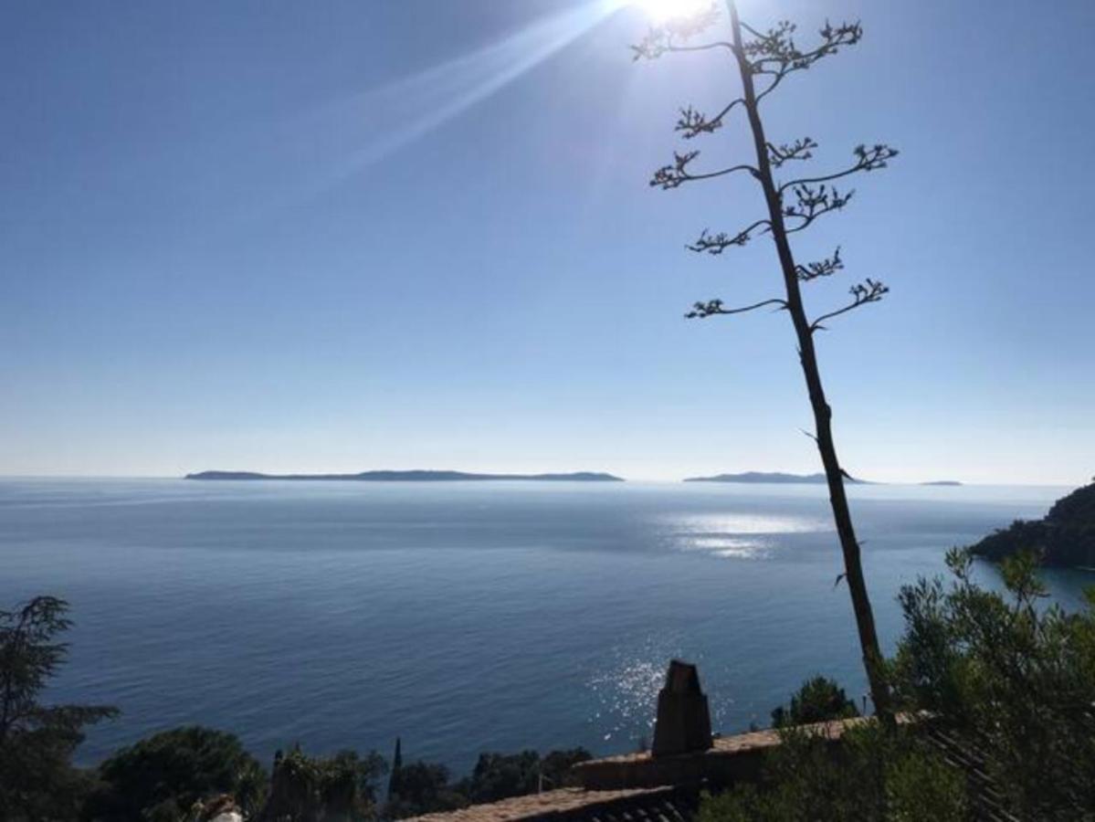 Villa Les Alizes Rayol-Canadel-sur-Mer Exterior photo