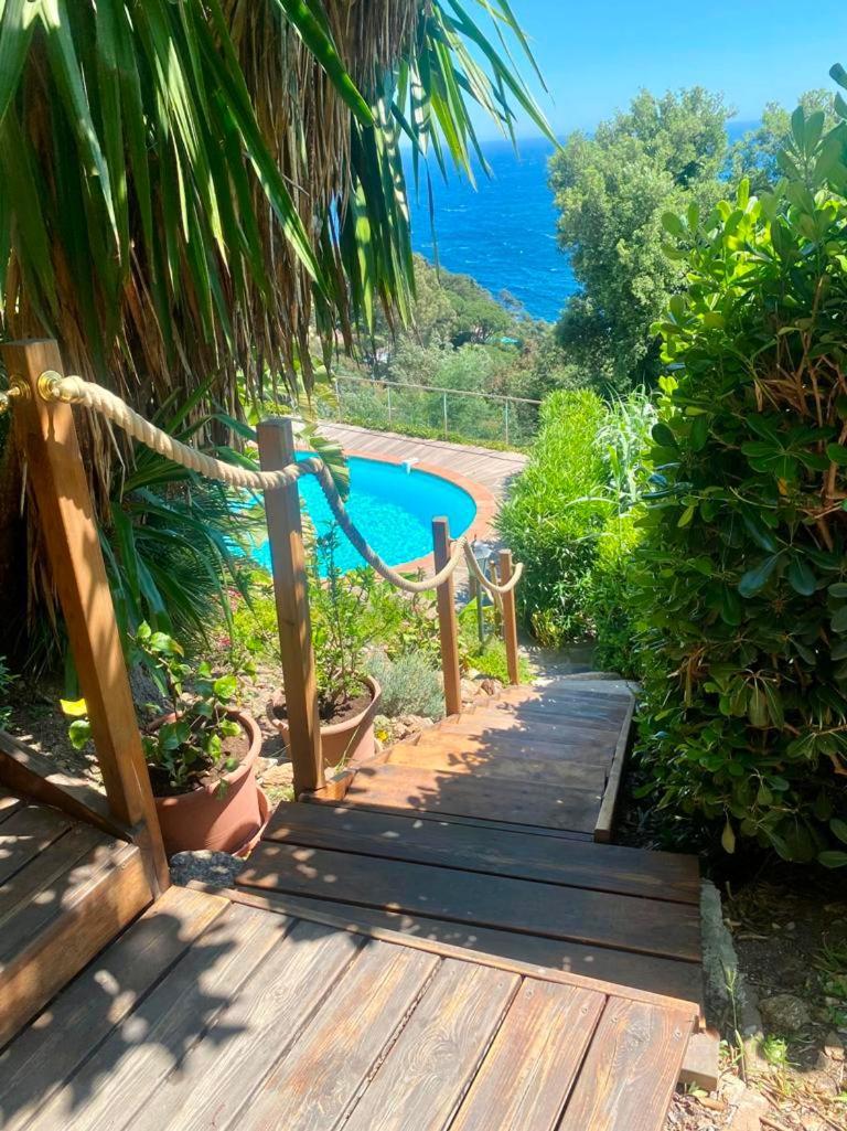 Villa Les Alizes Rayol-Canadel-sur-Mer Exterior photo